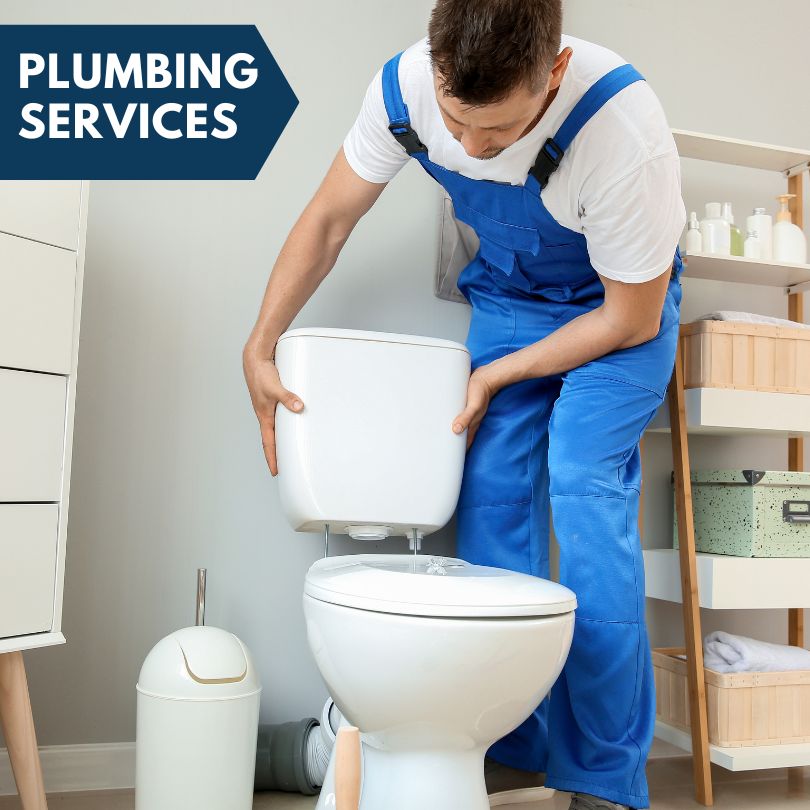 Plumbing Company in Sawyer, MI